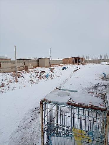 город талас: Срочно продаю кошару село Белек . центральная улица номер 1.Цена — 5