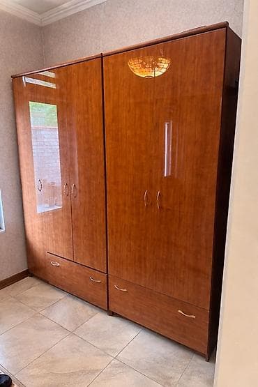 solutions elementary: Шифоньер, шкаф для одежды, Прямой, ЛДСП — 1