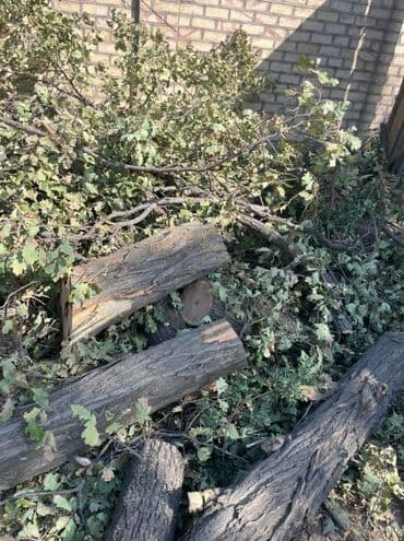 дрова самовывоз: Дрова — 3