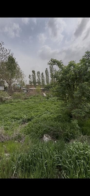 4 соток, Для строительства, Красная книга, Тех паспорт