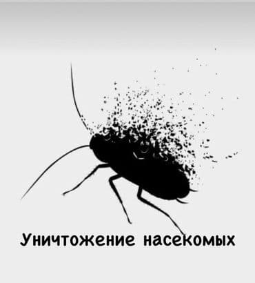 уничтожение клоп блох: Дезинфекция, дезинсекция, | Клопы, Блохи, Обработка деревьев, | Транспорт, Офисы, Квартиры at lalafo.kg — 1 уничтожение клоп блох: Дезинфекция, дезинсекция, | Клопы, Блохи, Обработка деревьев, | Транспорт, Офисы, Квартиры — 1