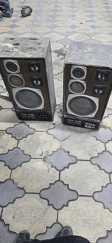 Аудиотехника: Акустическая система Radiotehnika S-90 (пара) корпуса в плачевном — 1