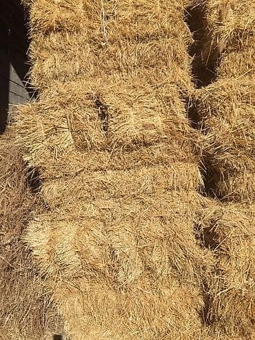 Арпа саман-300 түк