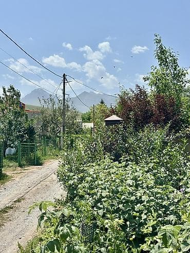 недвижимость каракол: Торг уместен!!! Продается дачный участок с домом, в Горной Маевке! — 9