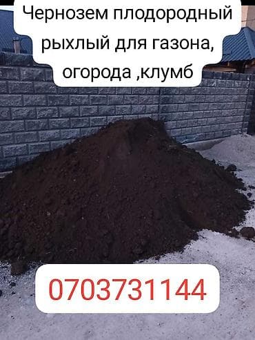 чернозем бешкунгей: В тоннах, Бесплатная доставка, Зил — 1