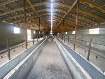 продаю дом ак босого: Үй, 120 кв. м, 6 бөлмө, Менчик ээси, Евро оңдоо — 3