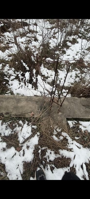 ысык кол отель: 📈📈📈Продается участок 5 соток в селе байгелди в дачном територии рядом — 6