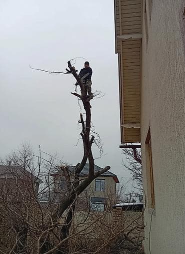 forester 2003: Пильшик #1
 любой сложности 
аккуратность опыт профессионализм — 2