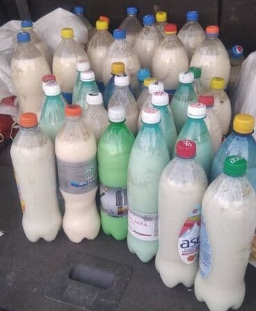 кымыз бышкыч: Бишкек шаары! Кымыз бээнин сүтүнөн ачытылып жасалат. Ал дарылык — 2