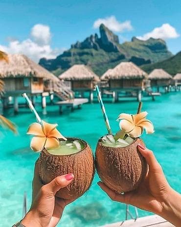 холодильная витрина: Курсы кыргызского языка — 4