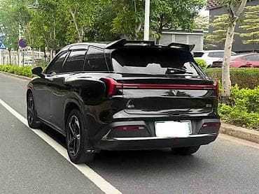 палисаб гибрид: Voyah : 2024 г., Электромобиль, Кроссовер — 4