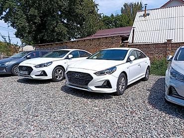 byd e5: Hyundai Sonata: 2019 г., 2 л, Автомат, Газ, Седан — 1