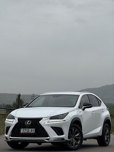 dio af27: Lexus NX: 2019 г., 2 л, Автомат, Бензин, Кроссовер — 4