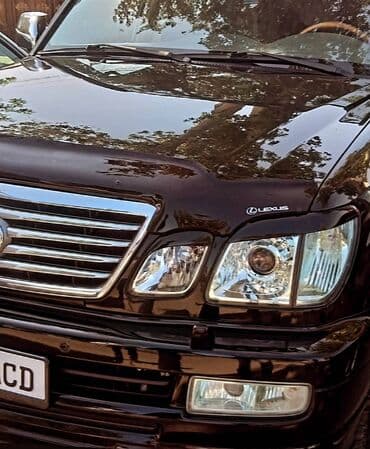 автомобильные аксессуары: Реснички ресницы ресница чехол на машину снаружи защита от солнца пыли — 3