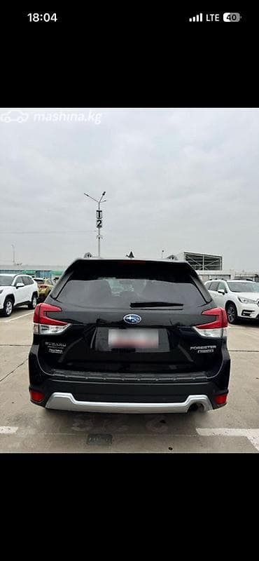 lexus 500: Subaru Forester: 2021 г., 2.5 л, Вариатор, Бензин, Кроссовер — 2