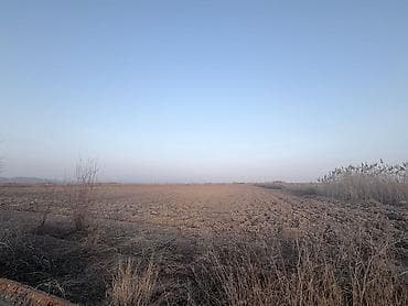 дешёвый участок: 600 соток, Для сельского хозяйства — 7