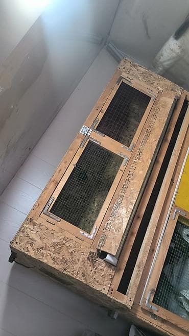 Зоотовары: Клетка/брудер для мелкой птицы или грызунов (многоярусная, из ОСБ и — 4