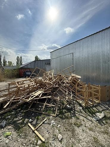 Хвоя at lalafo.kg Хвоя