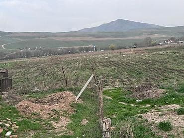 продаю участок воено антановка: 80 соток, Для сельского хозяйства — 6