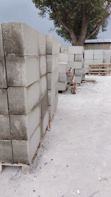 Газоблок, Неавтоклавный, 300x200x100, D600