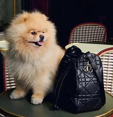 dyson заколка для волос: Сумка-ведро Christian Dior - Материал: гладкая черная кожа с — 2