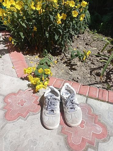 кросо: Детские кроссовки кеды Adidas Originals Gazelle для детей Размер — 2