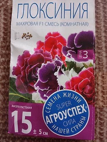 голанские розы: Саженцы глоксинии (махровая F1 смесь, комнатная) и вьющиеся розы — 4