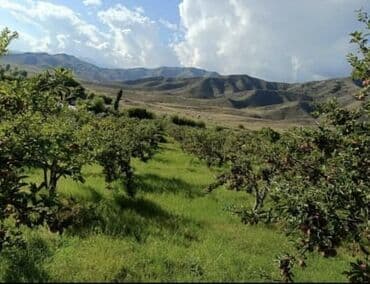 продаю дом учхоз: Дом, 182 м², 5 комнат, Агентство недвижимости — 10