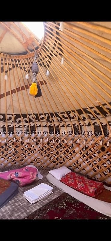 Боз үйлөр сатылат, Каркасы Жыгач, 65 баш, Диаметри: 5 метр — 2