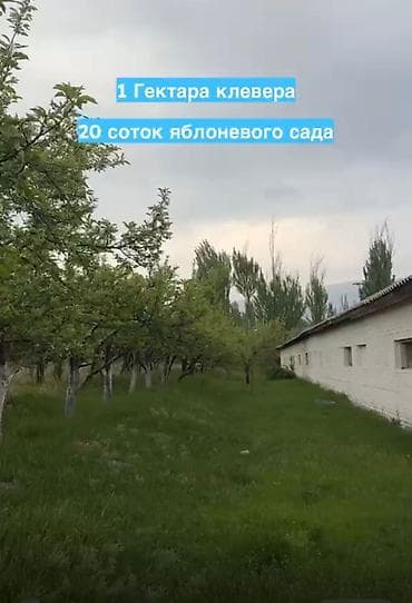 купить пасеку: 172 соток, Для строительства, Красная книга, Тех паспорт — 3
