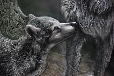 псо ремонт: Г. Ош. РЕМОНТ ПОД КЛЮЧ БЕЗ НЕРВОВ И ПЕРЕДЕЛОК. Берусь за:— плитку — 4