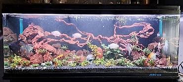 тумба под аквариум: Аквариум Jebo с тумбой - Большой прямоугольный аквариум Jebo на — 2