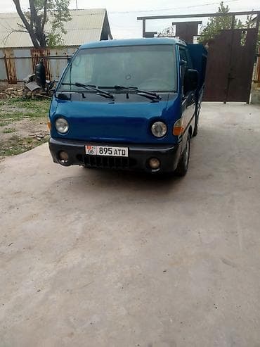 водный мото: Легкий грузовик, Hyundai, Стандарт, 3 т, Б/у — 5