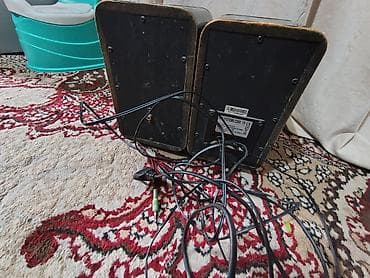 эстрадные динамики: Акустическая система Genius (2.0) - Формат: стереопара 2.0 - Корпус — 2