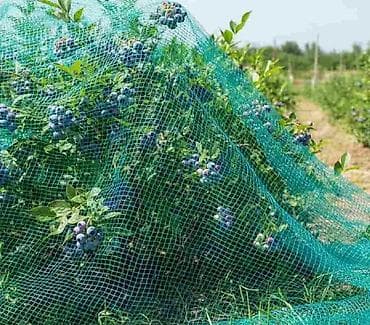 Защитные сетки от птиц, Самовывоз, Платная доставка — 2