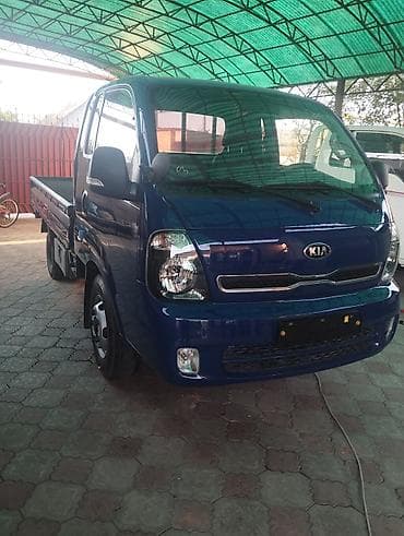byd dolphin: Легкий грузовик, Kia, Стандарт, До 1 т — 7
