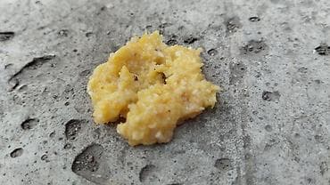 соевой шрот: Корм для жывотных курица,овца,Карпова,гусь, и.т — 3