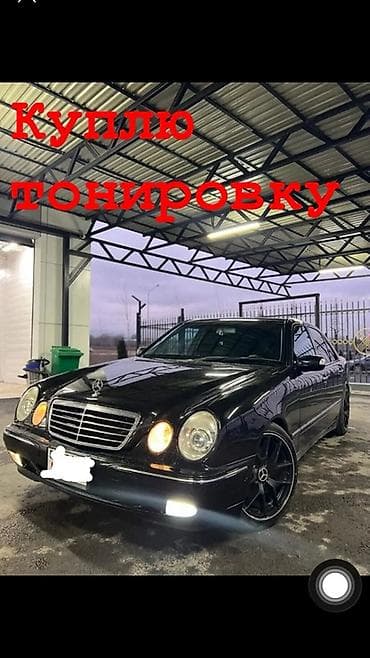 Куплю тонировку от 4х до 6 месяцев Куплю тонировку от