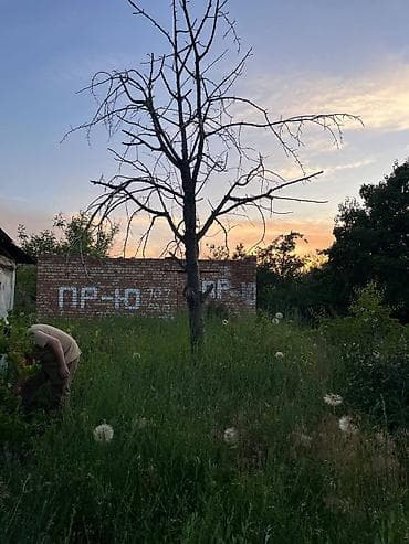 5 соток, Для сельского хозяйства, Красная книга at lalafo.kg 5 соток, Для сельского хозяйства, Красная книга