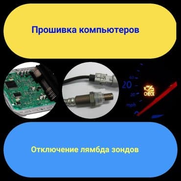 Программное отключение ошибок катализатора и лямбда зондов