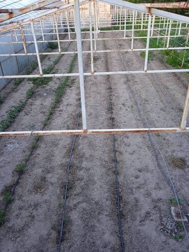 копельный полив: ( теплица ). Продаю готовую теплицу. Продаётся только каркас теплицы — 3