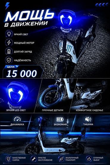 bws samurai: Электроскутер (электромопед) с LED-оптикой и двойным сиденьем — 1