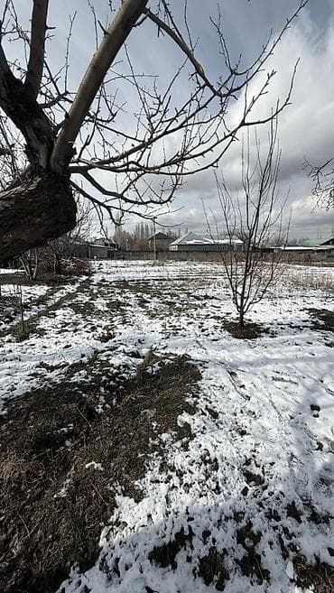 медеров: 5 соток, Кызыл китеп — 1