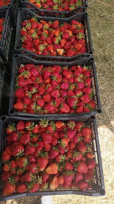 пластик эшик терезелер: Ящик, Жаңы — 5