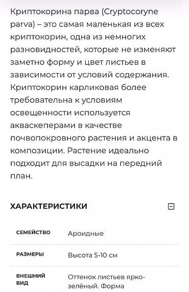 купить малек форели: Криптокорина парва (Cryptocoryne parva) — компактное аквариумное — 5