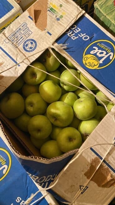 продукты для суши оптом: Яблоки Оптом — 2