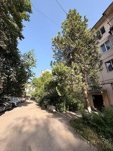 centr park: 1 комната, 32 м², Индивидуалка, 3 этаж, Косметический ремонт — 1