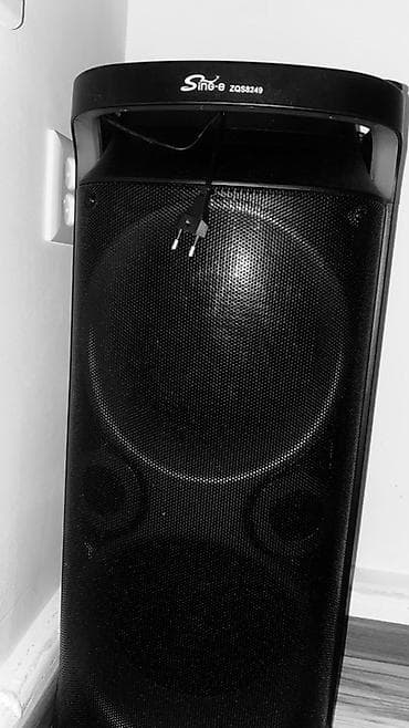 Портативная акустическая система Sing-e ZQS8249 - Мощная напольная