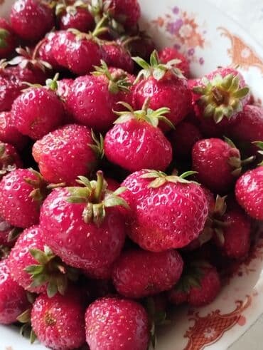 семена помидоры: Рассада садовой земляники (клубники) - Сорта с крупными — 4