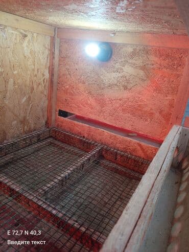 живые бабочки: Клетка/брудер для перепелов (многоярусная секция) - Материал: каркас — 3